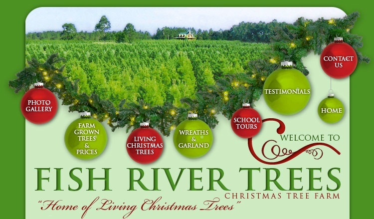 Fish River Trees Christmas Tree Farm
